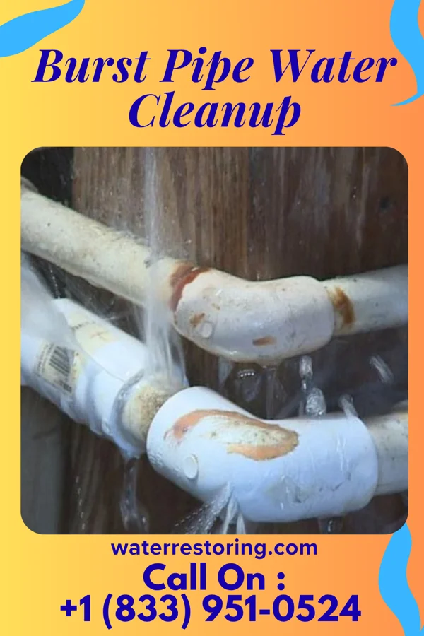 Burst Pipe Water Cleanup in Three Springs, PA