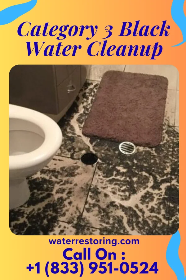 Category 3 Black Water Cleanup in Three Springs, PA