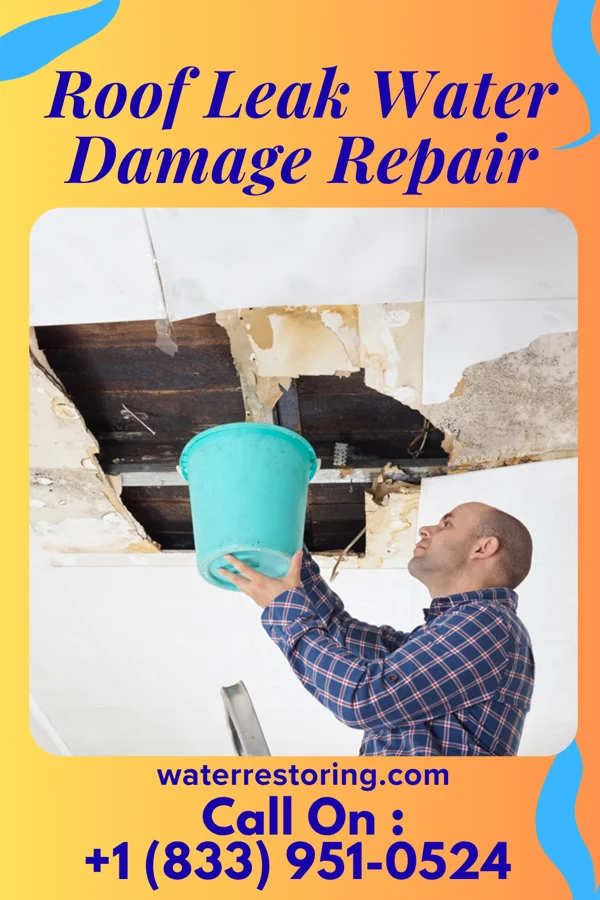 Roof Leak Water Damage Repair in Three Springs, PA