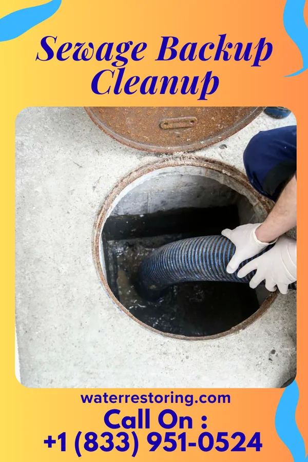 Sewage Backup Cleanup in Three Springs, PA